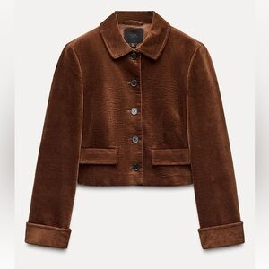 Zara Cropped Velvet Jacket in Brown